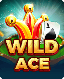 Wild Ace game at 365in